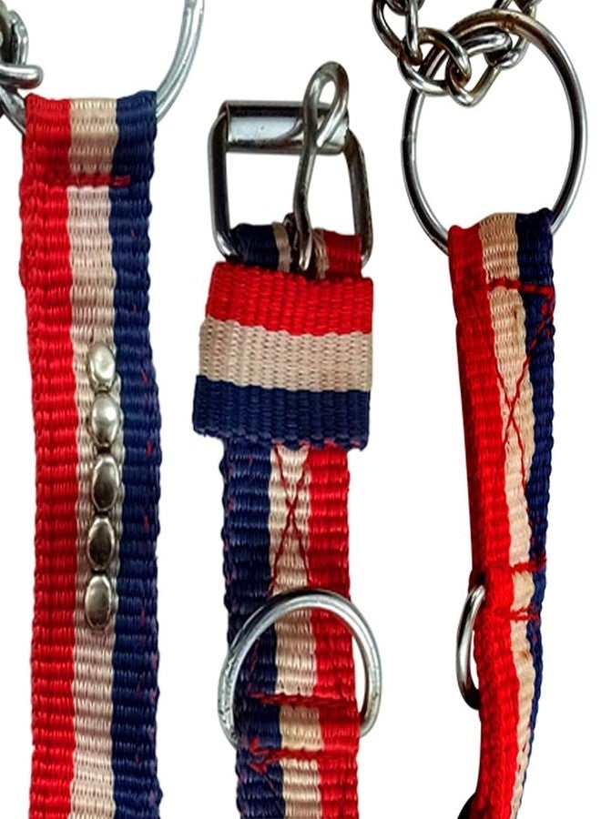 DIY Crafts DIY DIYC-13727 Crafts Nylon Belt Dog Collar Pet Belt Dno# 1 (Pack of 5 Pcs, Multi) - Image 4